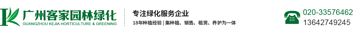 山東康力醫(yī)療器械科技有限公司